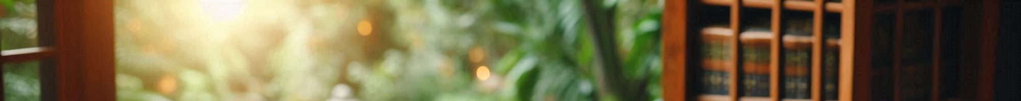 Vĩnh Nghiêm Tùng Thư